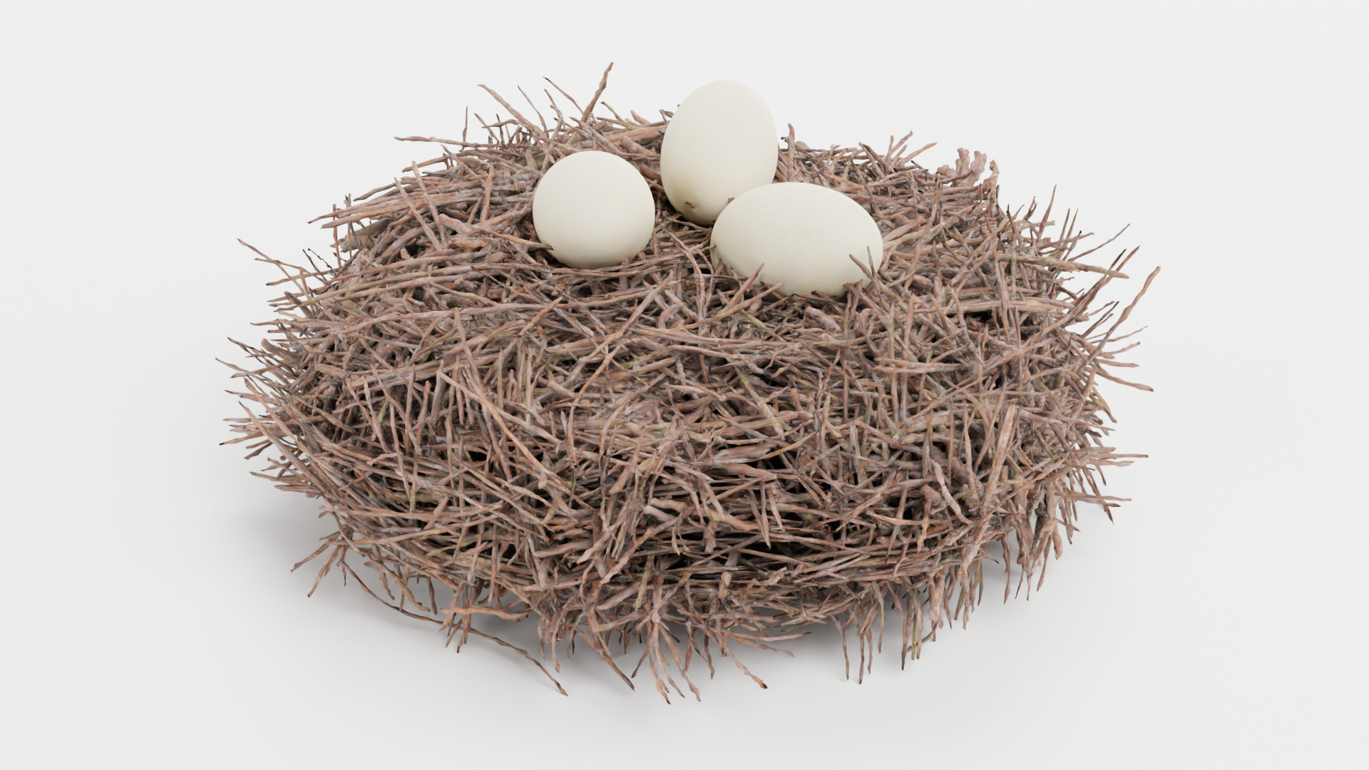 Nests 3D https://p.turbosquid.com/ts-thumb/YA/8mTVs9/jg/z0001/png/1627296752/1920x1080/turn_fit_q99/b1491a58f8bbb69d668fa5be9eab0415f9bbd27e/z0001-1.jpg