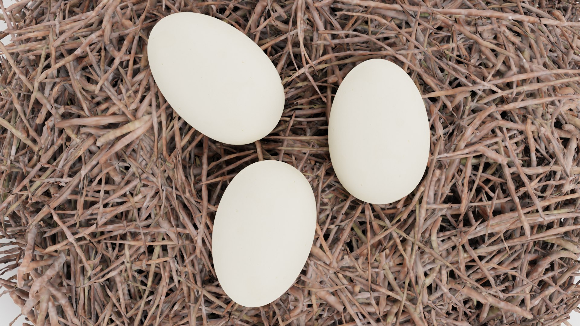 Nests 3D https://p.turbosquid.com/ts-thumb/YA/8mTVs9/kP/storknestwitheggsg/png/1705587397/1920x1080/fit_q87/17c087d5b8584ad577e4aca1eab4fde1061e9356/storknestwitheggsg.jpg