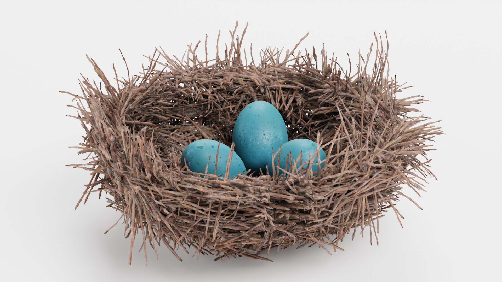 Nests 3D https://p.turbosquid.com/ts-thumb/YA/8mTVs9/lo/nestwitheggsb/png/1627294329/1920x1080/fit_q87/4e49dc42aba01eaed55819662c649afa1eb450eb/nestwitheggsb.jpg
