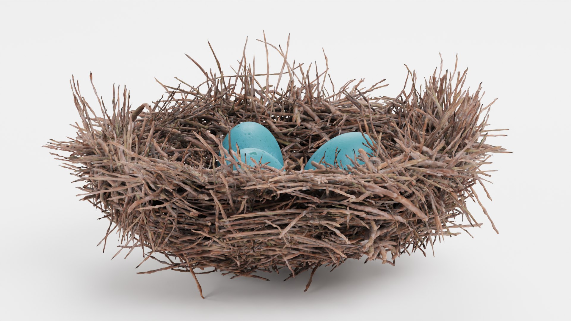 Nests 3D https://p.turbosquid.com/ts-thumb/YA/8mTVs9/oH/nestwitheggsf/png/1705587353/1920x1080/fit_q87/27a6630baf32601e8916335d51a709159293fb74/nestwitheggsf.jpg