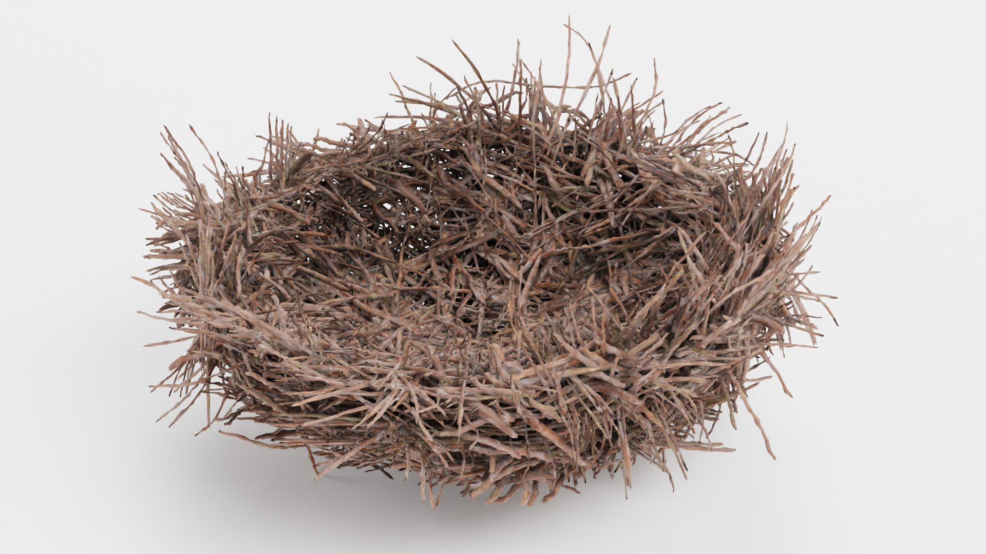 Nests 3D https://p.turbosquid.com/ts-thumb/YA/8mTVs9/s8/neste/png/1705587331/1920x1080/fit_q87/a789a9fb59af276e014bac33ed5966404a2340de/neste.jpg