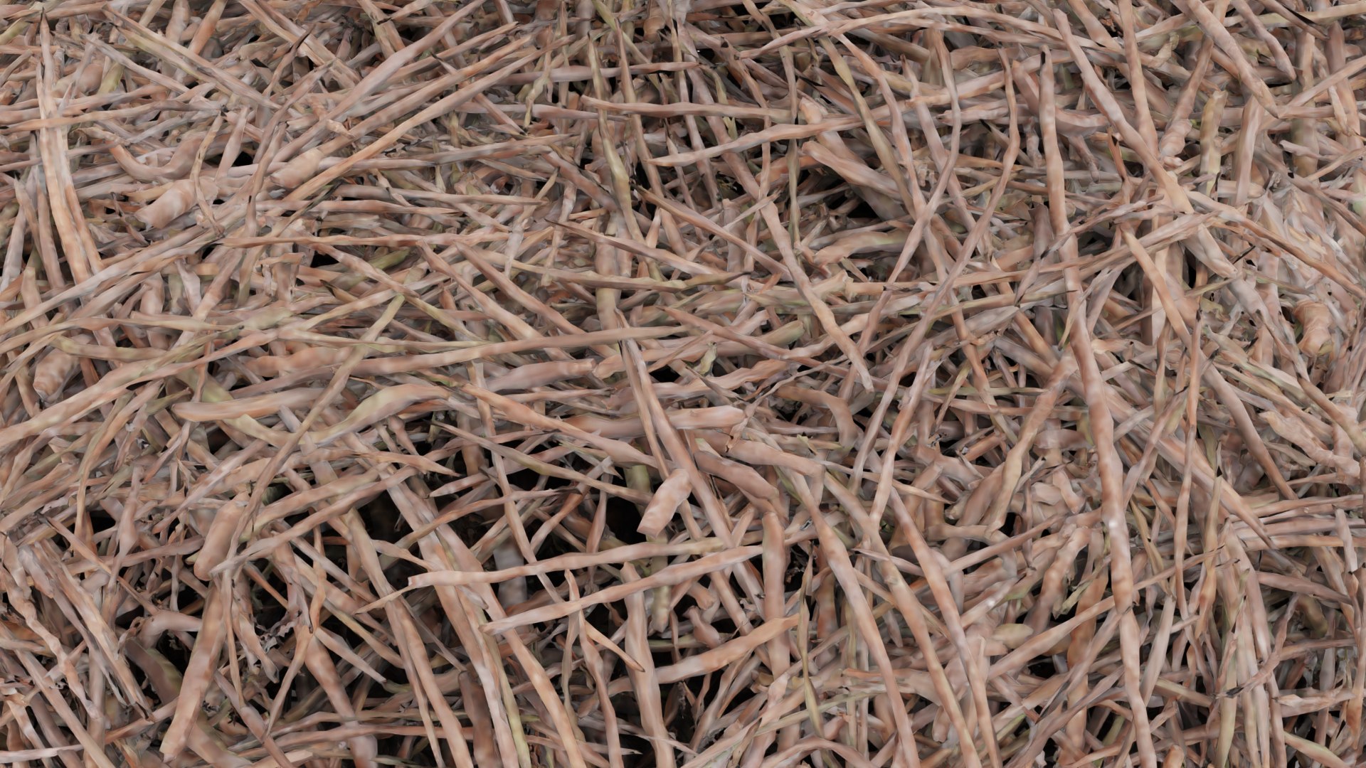 Nests 3D https://p.turbosquid.com/ts-thumb/YA/8mTVs9/xR/storknesth/png/1705587380/1920x1080/fit_q87/80d66c32b7ea4b52c463bc661542eda108f98cae/storknesth.jpg