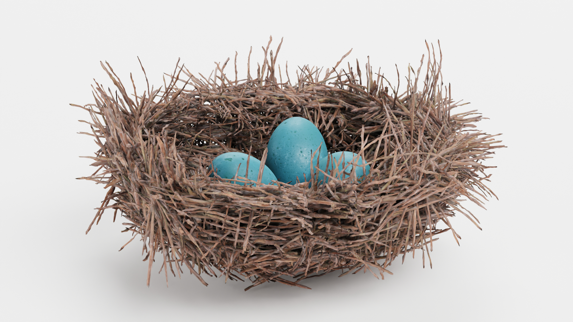 Nests 3D https://p.turbosquid.com/ts-thumb/YA/8mTVs9/y4/z0001/png/1627294394/1920x1080/turn_fit_q99/3679e99be6b4cec63ccf840f60607dc11917d2db/z0001-1.jpg