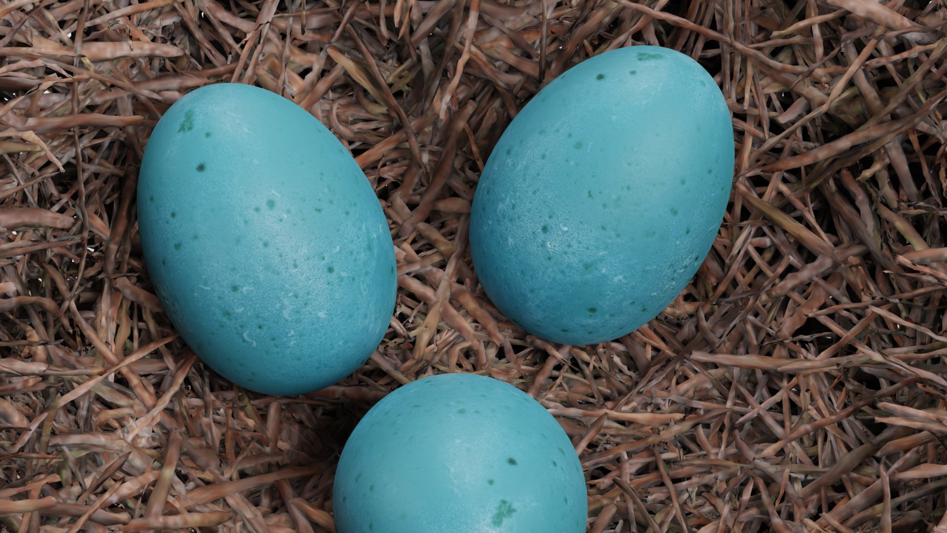 Nests 3D https://p.turbosquid.com/ts-thumb/YA/8mTVs9/z8/nestwitheggsh/png/1705587358/1920x1080/fit_q87/7a8915a3e377becc34722f6449b566cb7d0dcf74/nestwitheggsh.jpg