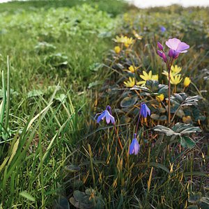 Spring grass set V1