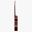 Double O acoustic guitar PBR