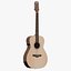 Double O acoustic guitar PBR