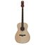 Double O acoustic guitar PBR