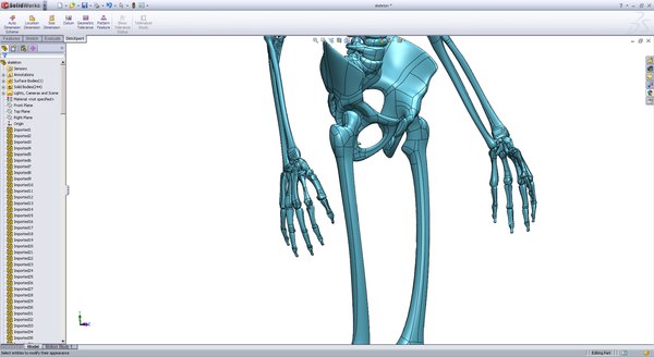 Esqueleto Solidworks Modelo 3D - TurboSquid 789358