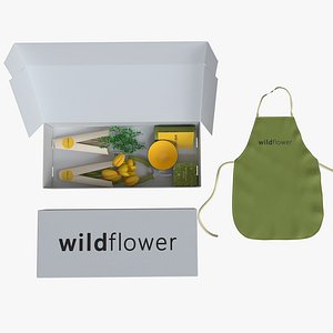 Wildflower box Kenzan Bowl Flowers 3D