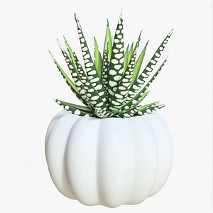 Succulent 01 c model