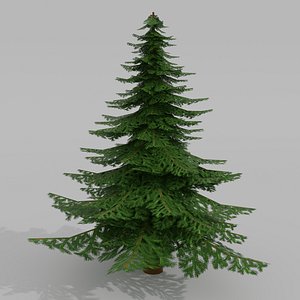 3D Cartoon Low Poly Pine Tree