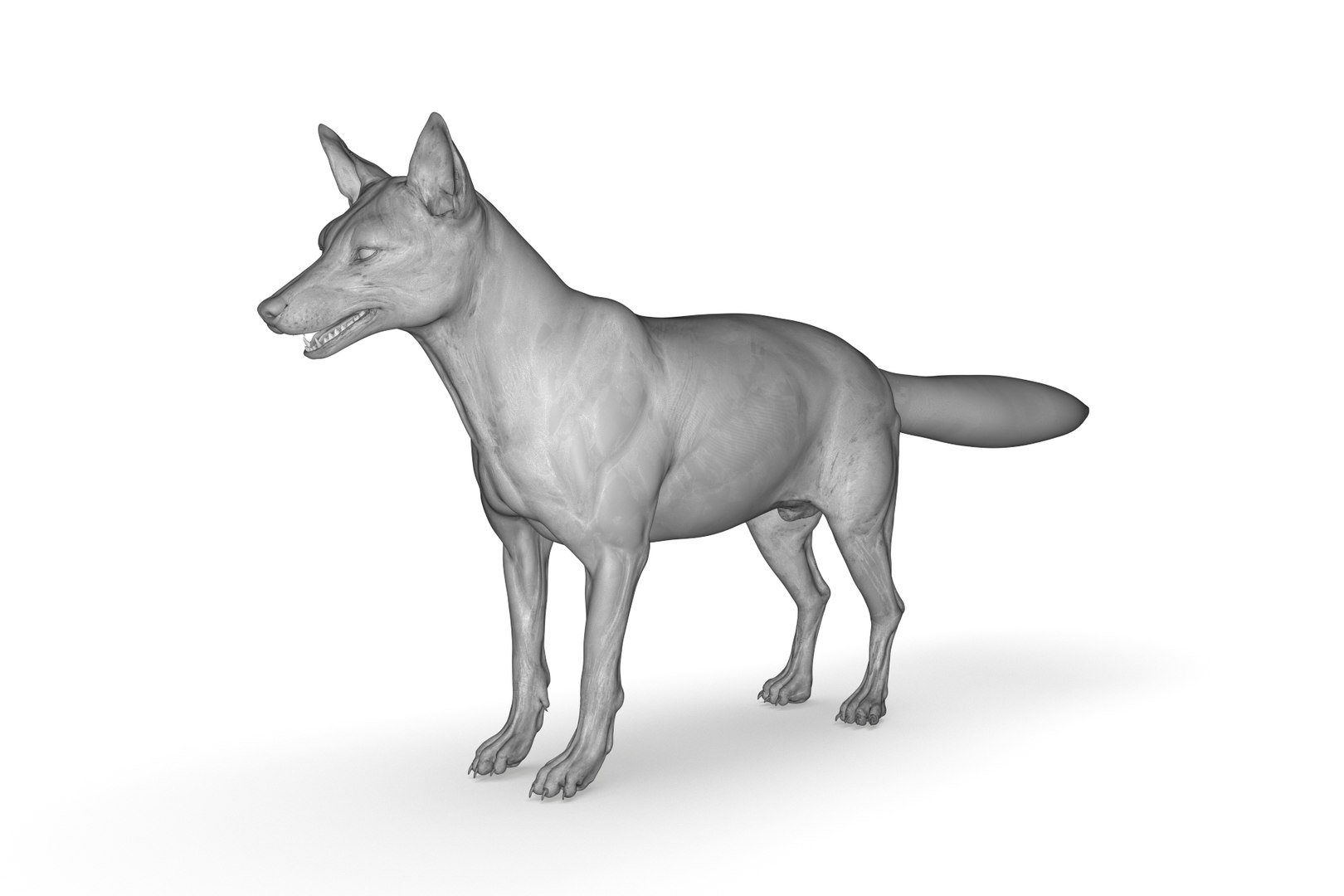 Fox 3D Model - TurboSquid 2206753