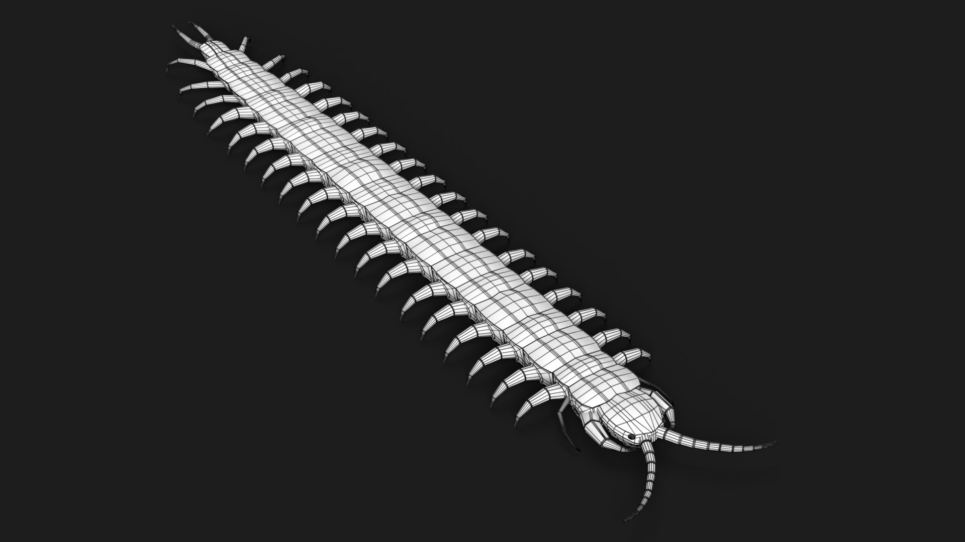 Bug Collection 3 model https://p.turbosquid.com/ts-thumb/YA/k3BNSc/4f/centipede_wireframe_1/png/1619103666/1920x1080/fit_q87/67b5ff170a8ac85bfb365470daaab7850fb9948f/centipede_wireframe_1.jpg