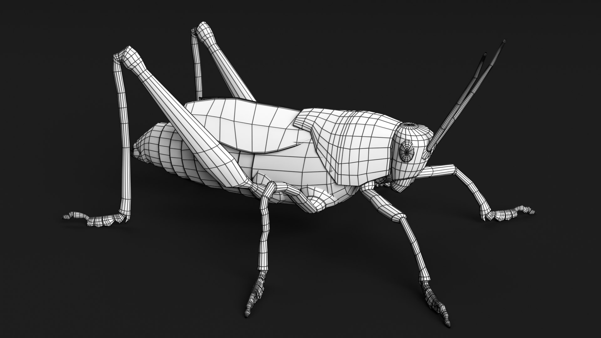 Bug Collection 3 model https://p.turbosquid.com/ts-thumb/YA/k3BNSc/GZ/grasshopper_wireframe_1/png/1619103318/1920x1080/fit_q87/071d24d3cf82b221329fa8a427d7781c3b42b3c6/grasshopper_wireframe_1.jpg