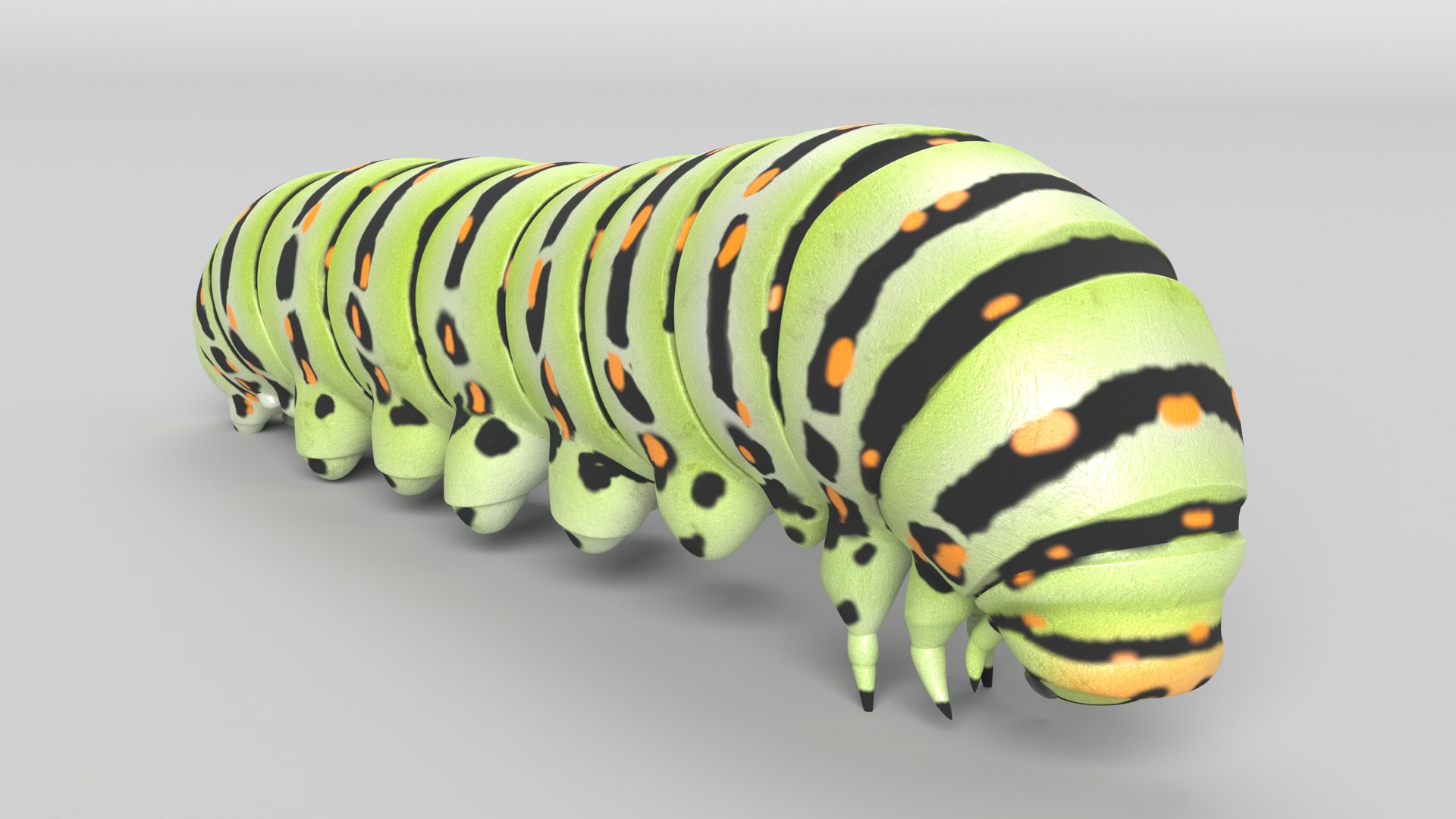 Bug Collection 3 model https://p.turbosquid.com/ts-thumb/YA/k3BNSc/or/caterpillar_thumbnail_color/png/1619103585/1920x1080/fit_q87/b4c82bfe5f1a27f364b90da19181036dd8d803d0/caterpillar_thumbnail_color.jpg