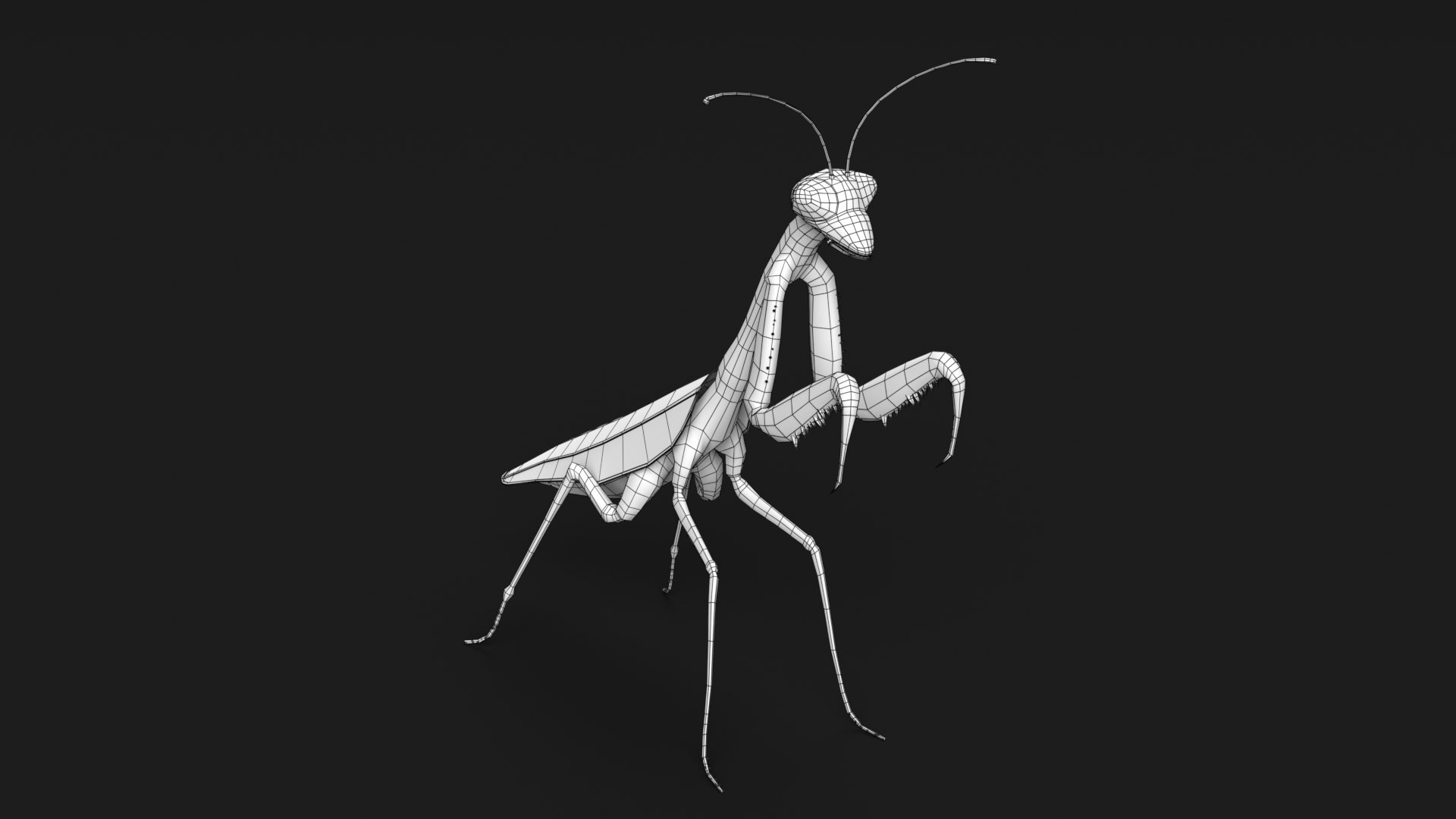 Bug Collection 3 model https://p.turbosquid.com/ts-thumb/YA/k3BNSc/u5/praying_mantis_wireframe_1/png/1619103453/1920x1080/fit_q87/fb29d7959e5f8dec055addb8720e05fa106cb686/praying_mantis_wireframe_1.jpg