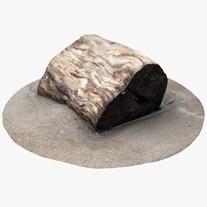 rustic wood stump 4 3D