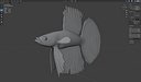 Betta Fish 2