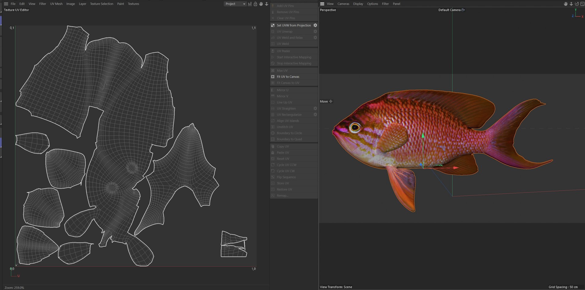 3D Anthias Fish https://p.turbosquid.com/ts-thumb/YB/03qHSd/UW/uv/jpg/1774419083/1920x1080/fit_q87/64456c43e36974fab7d3b40b86315d7bf61359b6/uv.jpg