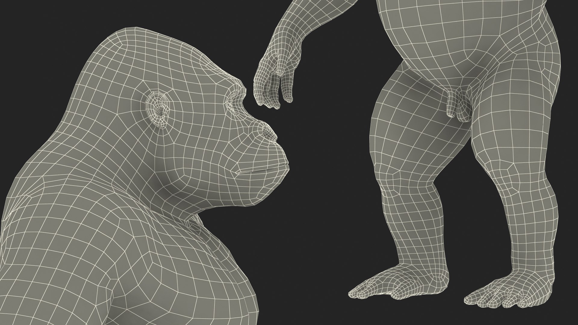 3D Gorilla Basic Pose https://p.turbosquid.com/ts-thumb/YB/3hXWOF/0K/gorillabasicposemb3dmodel027/jpg/1708745979/1920x1080/fit_q87/f2f4297936e2942199177113135d75e95f012f6b/gorillabasicposemb3dmodel027.jpg