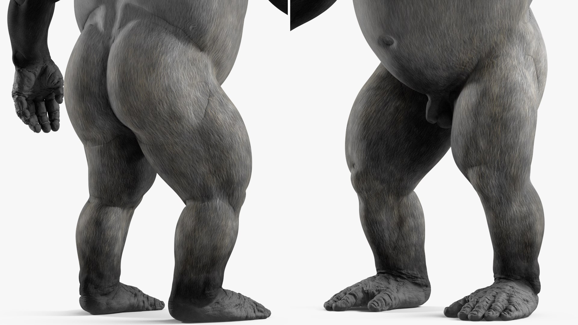 3D Gorilla Basic Pose https://p.turbosquid.com/ts-thumb/YB/3hXWOF/WJ/gorillabasicposemb3dmodel015/jpg/1708745932/1920x1080/fit_q87/d968783cd6261d8f10a77d75d8a98d581f4e0e34/gorillabasicposemb3dmodel015.jpg