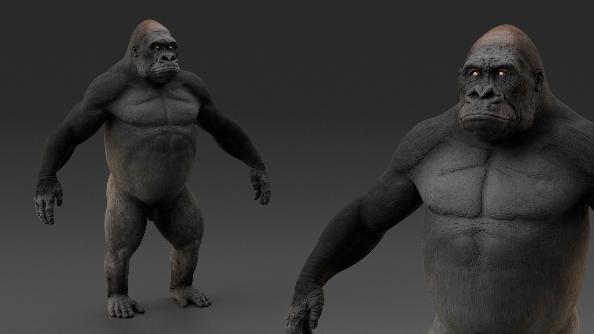3D Gorilla Basic Pose https://p.turbosquid.com/ts-thumb/YB/3hXWOF/hs/gorillabasicposemb3dmodel010/jpg/1708745913/1920x1080/fit_q87/9a60d97aca1b46402ec92a1af3635454cb140922/gorillabasicposemb3dmodel010.jpg