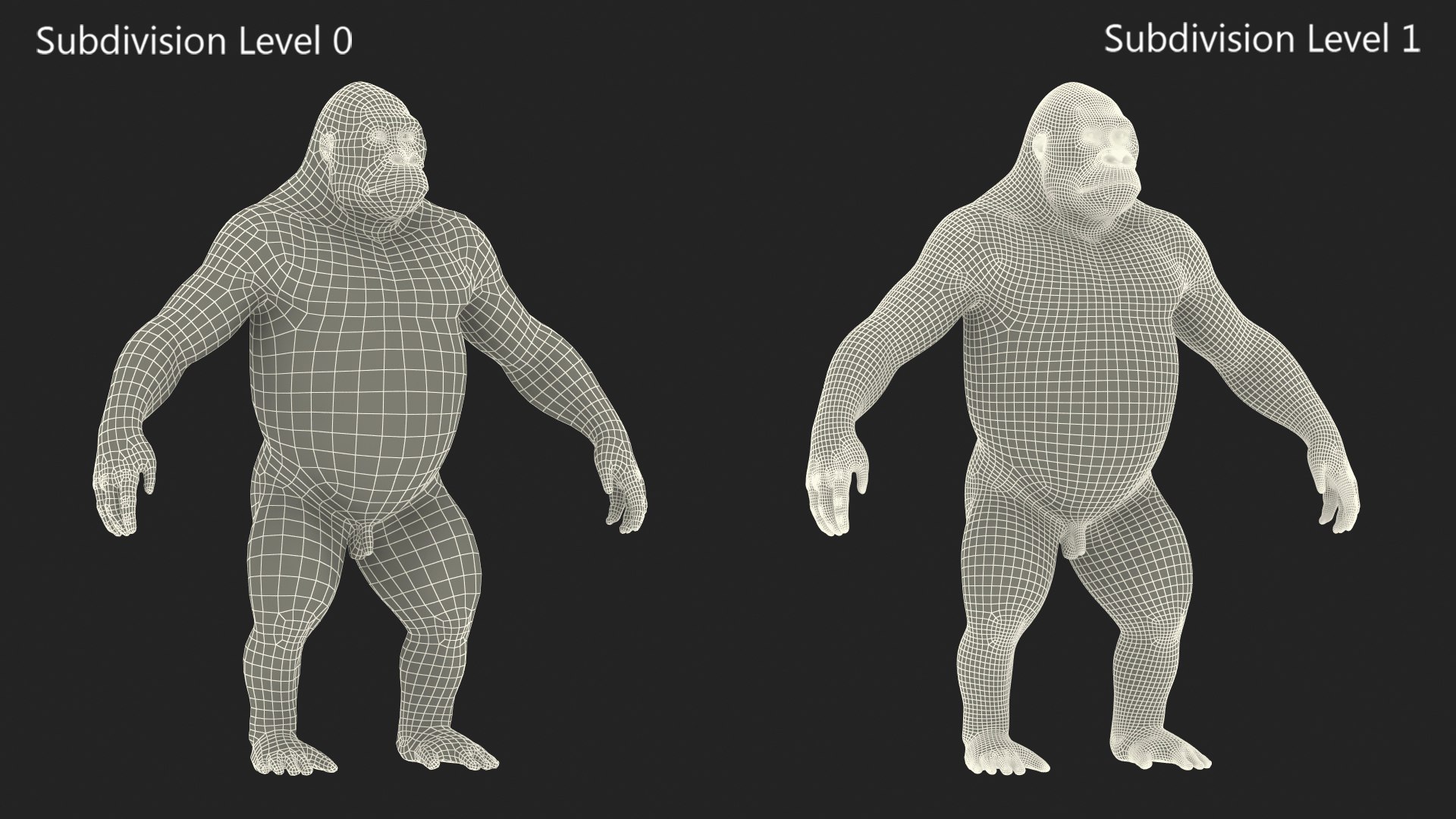 3D Gorilla Basic Pose https://p.turbosquid.com/ts-thumb/YB/3hXWOF/kP/gorillabasicposemb3dmodel020/jpg/1708745952/1920x1080/fit_q87/cb714147cea0200d9ea6afdc9d3e218538dc3193/gorillabasicposemb3dmodel020.jpg