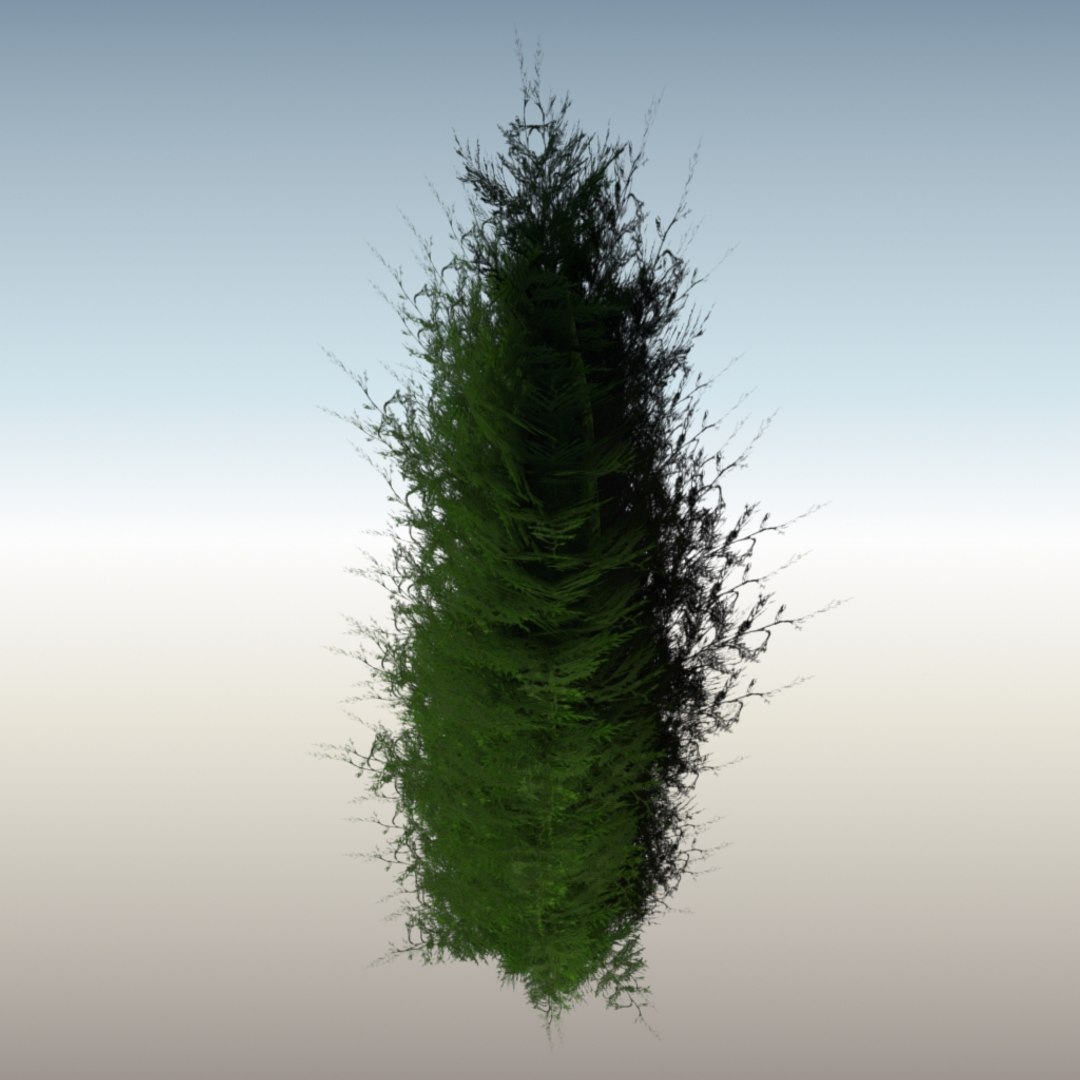 Optimized Cypress Tree 3d Model