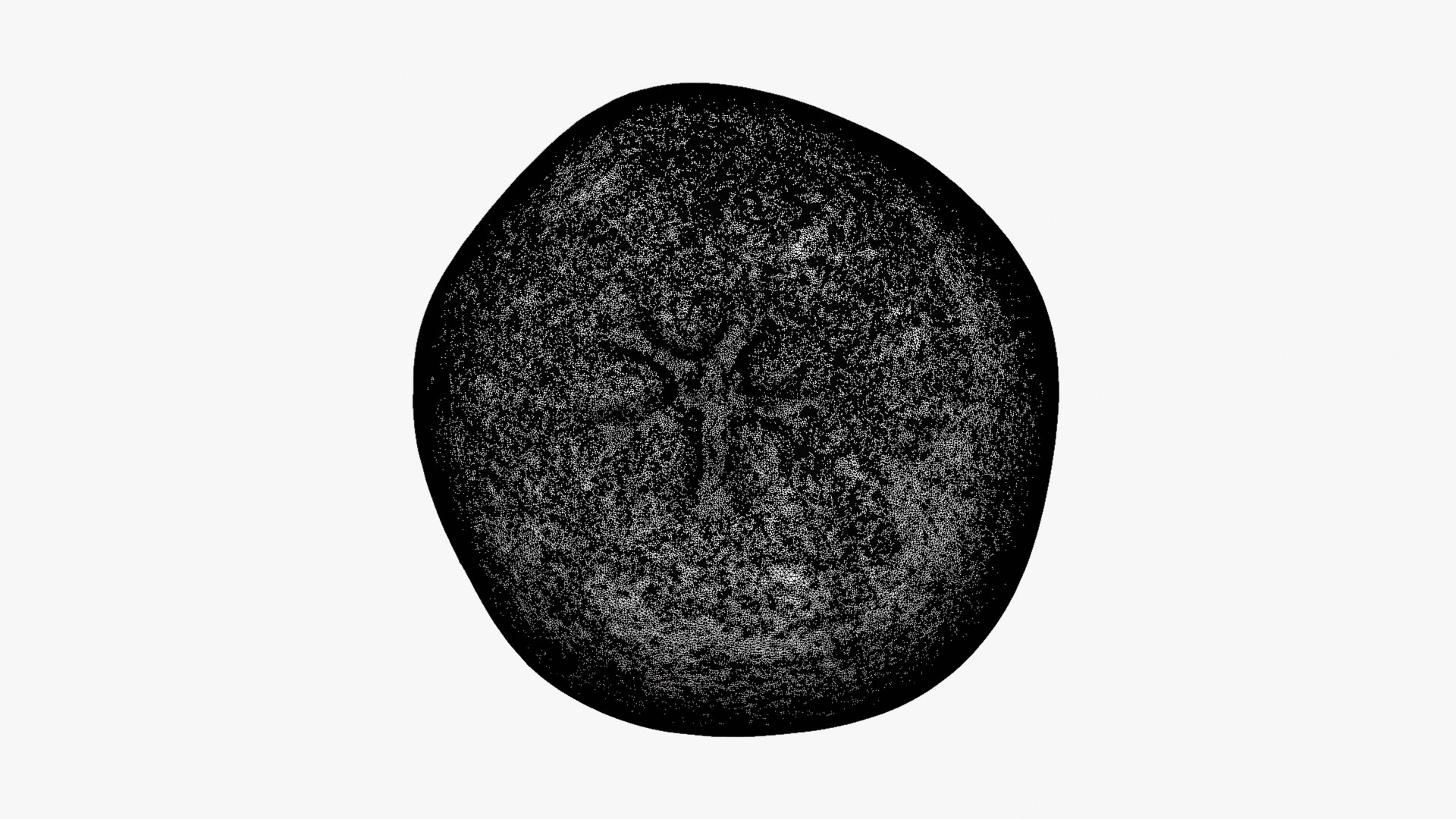 Whole Ripe Loquat Fruit - For 3D Print 3D https://p.turbosquid.com/ts-thumb/YB/HLgkc4/jH/loquat01_d000/png/1776784028/1920x1080/fit_q87/40377c6a25a7dd045e51077e5cd89ef0cae0962f/loquat01_d000.jpg