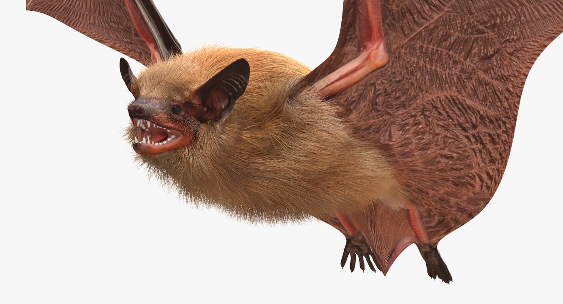 flying bat fur hair 3d max