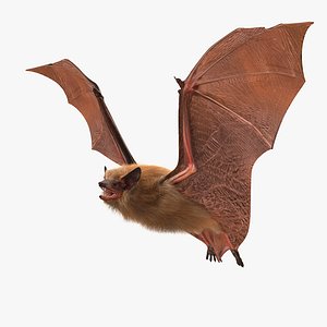 flying bat fur hair 3d max