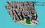 Manhattan Island