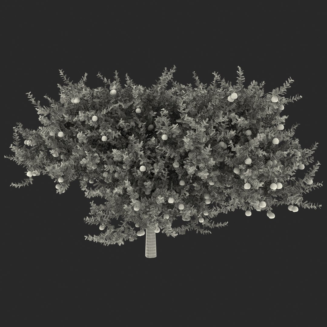 Grapefruit Tree 3d Model