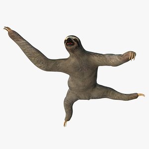 Sloth Rigged
