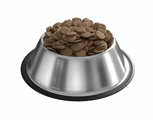3D Dog bowl with food PBR