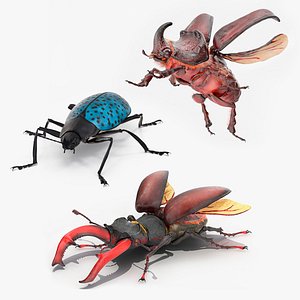 Rigged Beetles Fur Collection