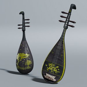 The Pipa 2 3D model