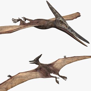 Pterosaur Forever 8K -