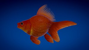 3ds max goldfish fish