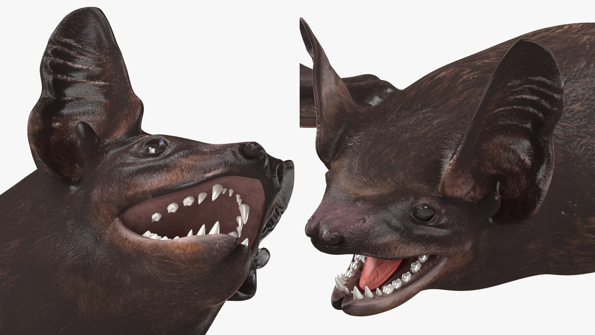 3D Black Bat Rigged for Modo https://p.turbosquid.com/ts-thumb/YC/6V4vRG/4n/blackbatriggedc4dmodel032/jpg/1645450606/1920x1080/fit_q87/e9b0e468fa1dd1999d81fe320294c8b95d749c1d/blackbatriggedc4dmodel032.jpg