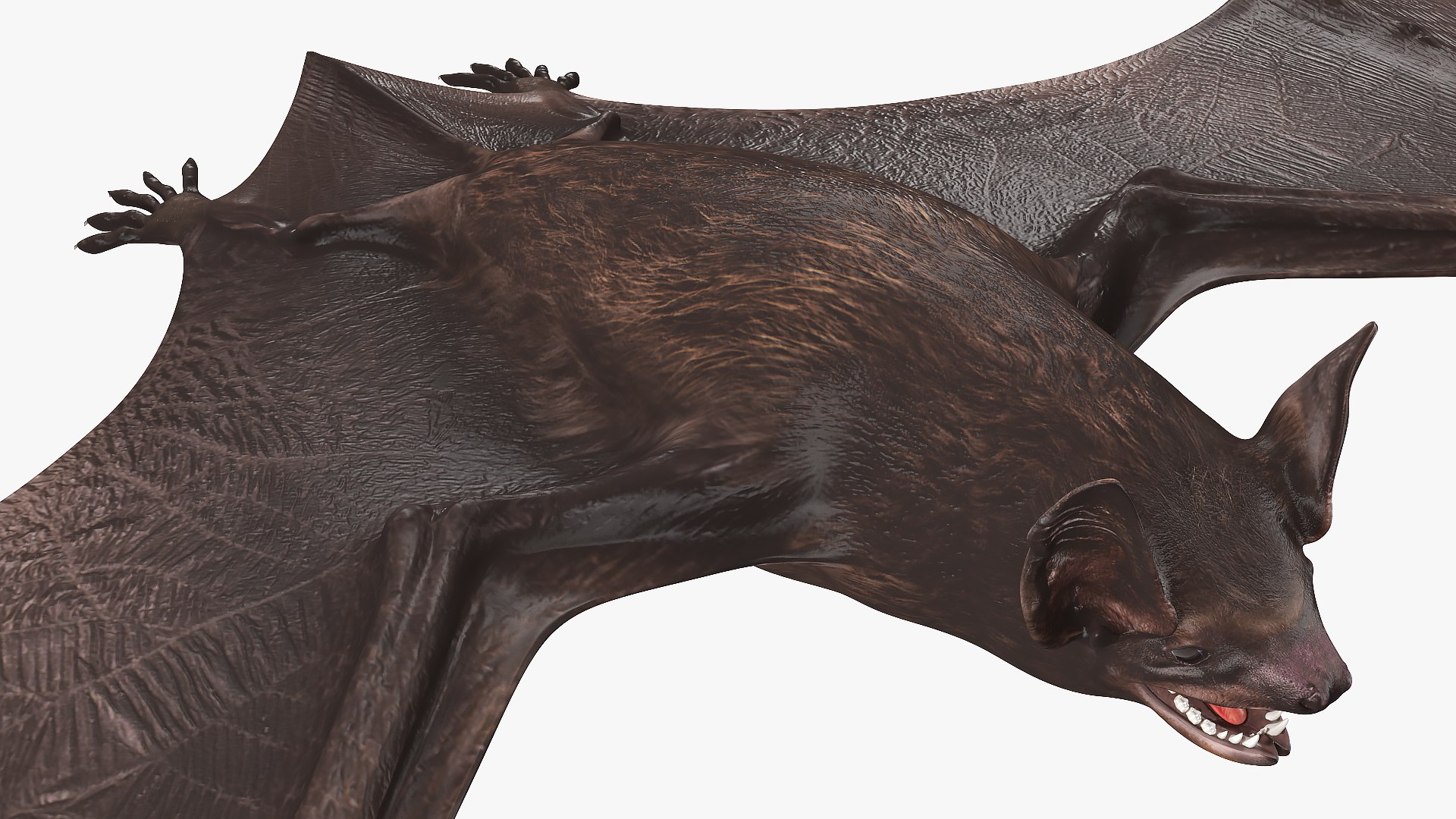 3D Black Bat Rigged for Modo https://p.turbosquid.com/ts-thumb/YC/6V4vRG/5h/blackbatriggedc4dmodel022/jpg/1645450576/1920x1080/fit_q87/bd03a753b1839569801533634a55736cc1a21489/blackbatriggedc4dmodel022.jpg