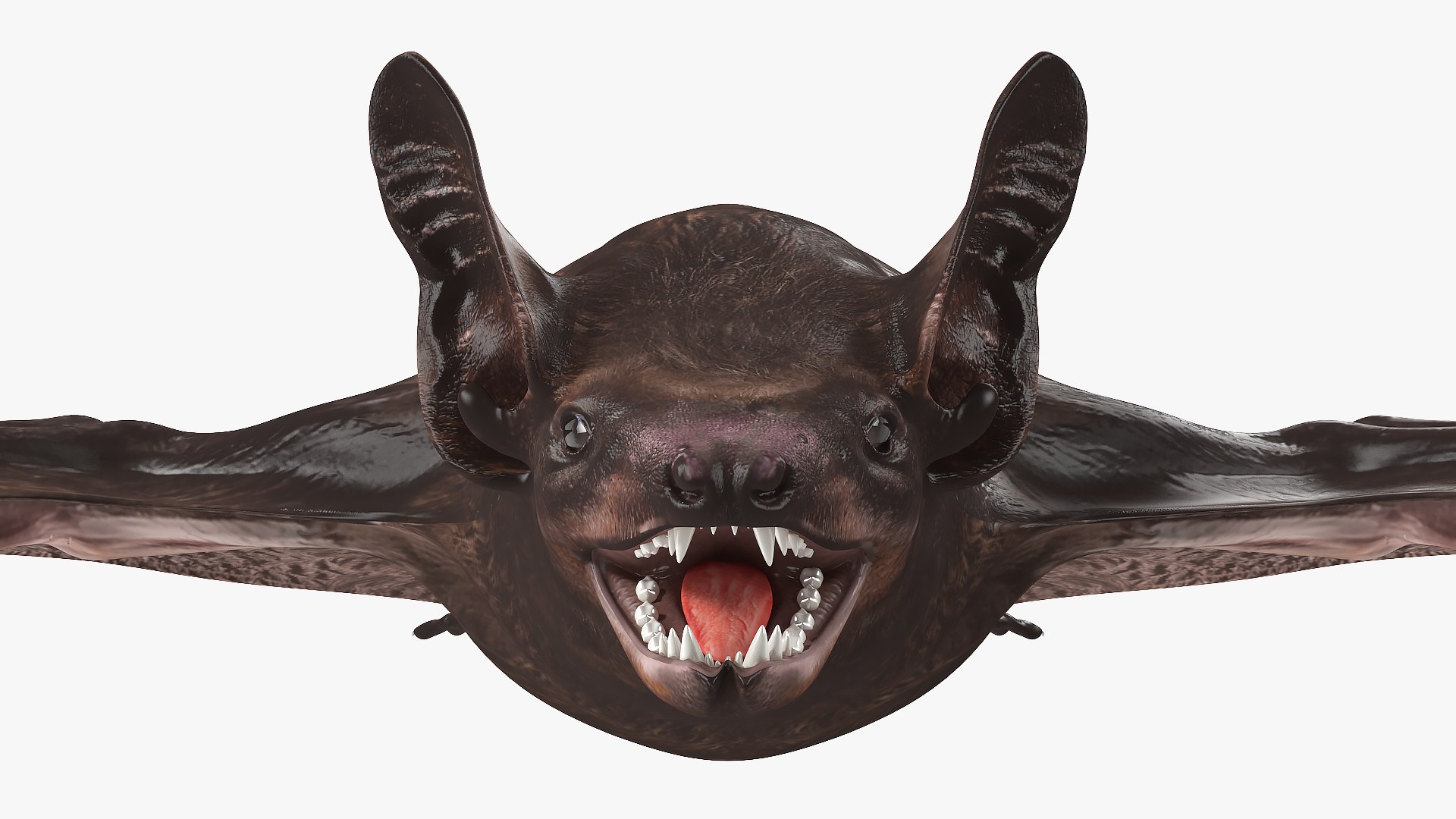 3D Black Bat Rigged for Modo https://p.turbosquid.com/ts-thumb/YC/6V4vRG/9Y/blackbatriggedc4dmodel029/jpg/1645450597/1920x1080/fit_q87/3bbbf66284e1fa82c637cb379518b0e63f2d9aaa/blackbatriggedc4dmodel029.jpg