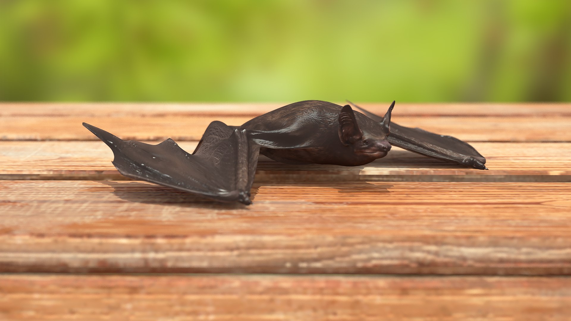 3D Black Bat Rigged for Modo https://p.turbosquid.com/ts-thumb/YC/6V4vRG/Kb/blackbatriggedc4dmodel006/jpg/1645450527/1920x1080/fit_q87/3a4760f7dbcbdc6adfa5d4f04e5f72a0d0db0e2a/blackbatriggedc4dmodel006.jpg