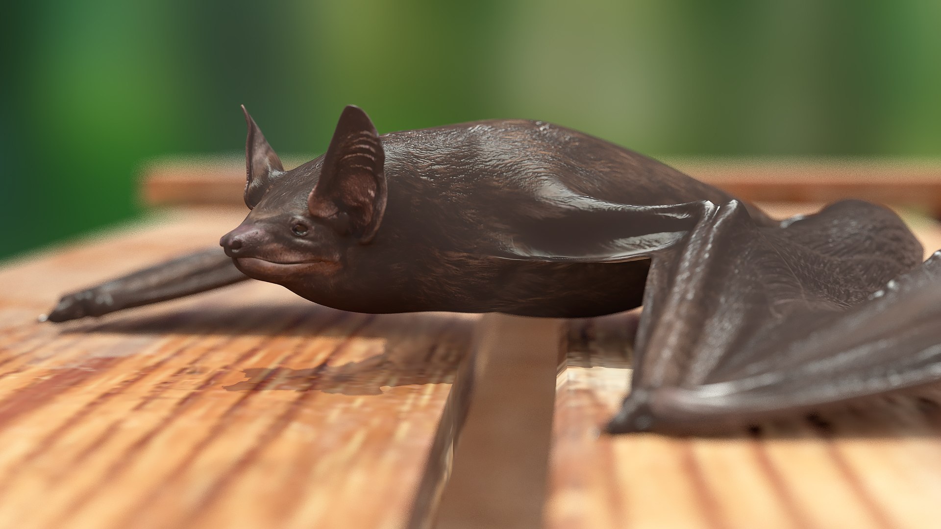 3D Black Bat Rigged for Modo https://p.turbosquid.com/ts-thumb/YC/6V4vRG/OQ/blackbatriggedc4dmodel012/jpg/1645450545/1920x1080/fit_q87/0f6e5a2ee273096385860634b752bf1743520095/blackbatriggedc4dmodel012.jpg
