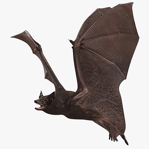 3D Black Bat Rigged for Modo