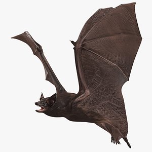 Black Bat Rigged for Modo