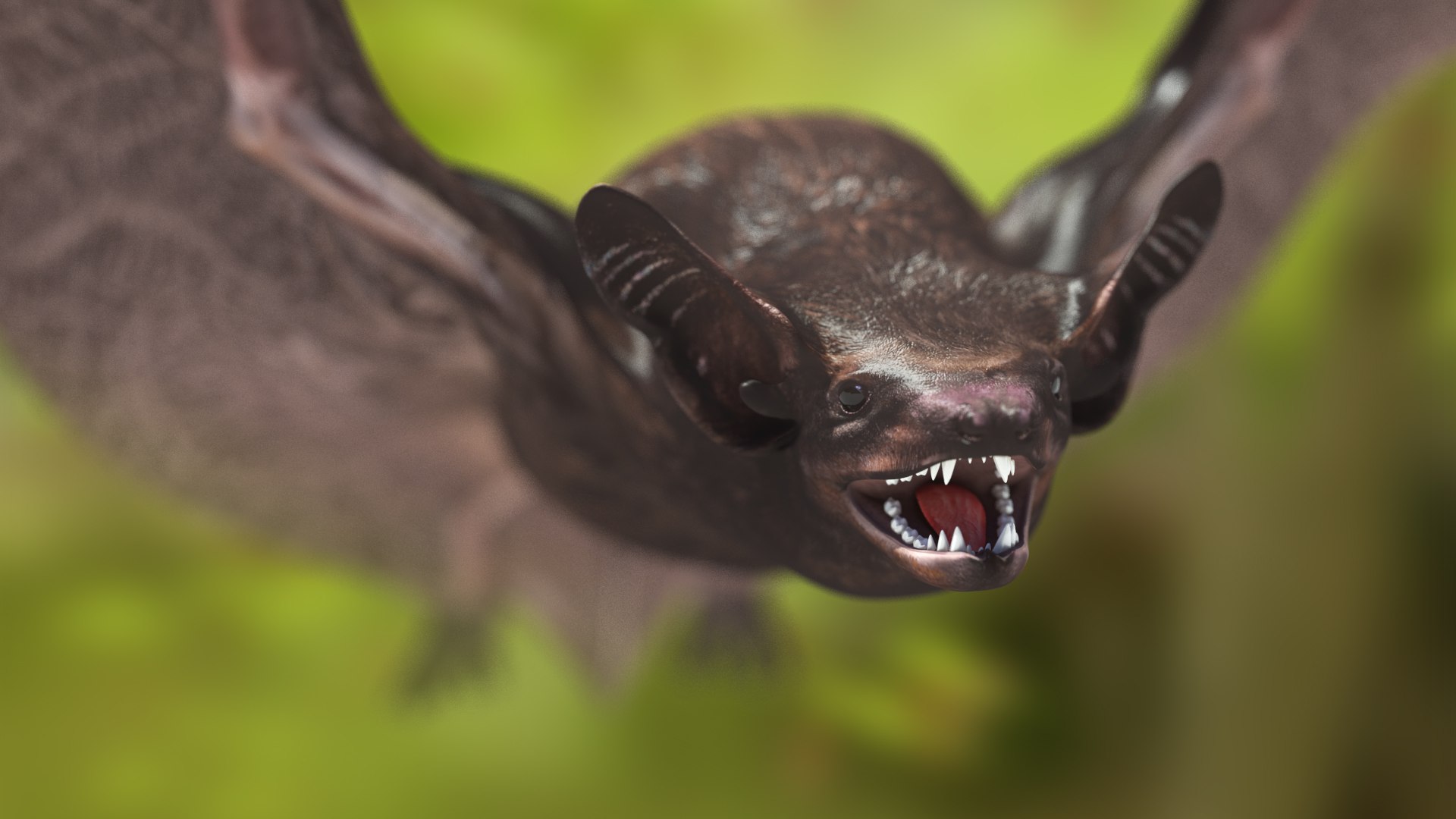 3D Black Bat Rigged for Modo https://p.turbosquid.com/ts-thumb/YC/6V4vRG/RW/blackbatriggedc4dmodel010/jpg/1645450539/1920x1080/fit_q87/3d15a60af75e8ec99487eef05574542d813a7011/blackbatriggedc4dmodel010.jpg