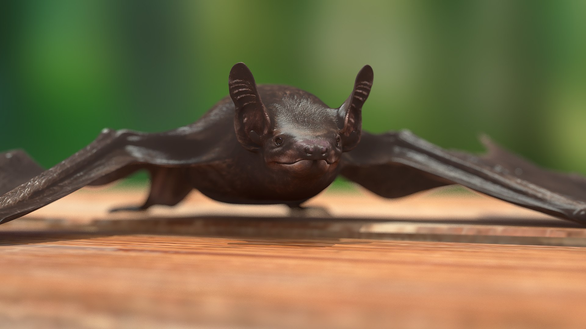 3D Black Bat Rigged for Modo https://p.turbosquid.com/ts-thumb/YC/6V4vRG/fi/blackbatriggedc4dmodel011/jpg/1645450542/1920x1080/fit_q87/e1aa9fe40dc8482e7820aa9173ac92734a019e32/blackbatriggedc4dmodel011.jpg