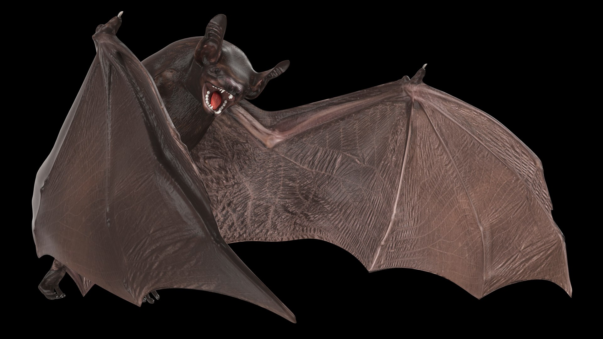3D Black Bat Rigged for Modo https://p.turbosquid.com/ts-thumb/YC/6V4vRG/yv/blackbatriggedc4dmodel002/jpg/1645450515/1920x1080/fit_q87/146cd1910c462d705f483b3004de31cb99e256b2/blackbatriggedc4dmodel002.jpg